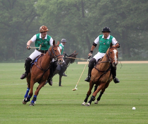 Polo_Art   040.jpg